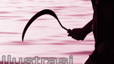 IMG-20231111-WA0017