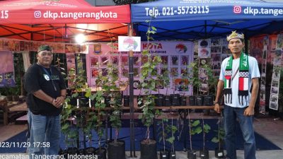 IMG-20231129-WA0054