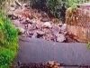 Pekalongan Berduka, Akibat Banjir Bandang Dan Longsor, 16 Orang Meninggal Dunia dan 10 Luka-luka 1737449645371