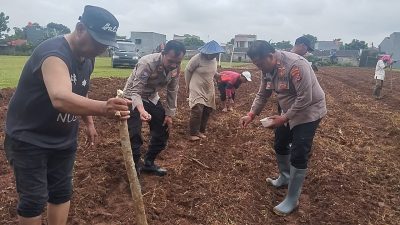 IMG-20250208-WA0049(1)