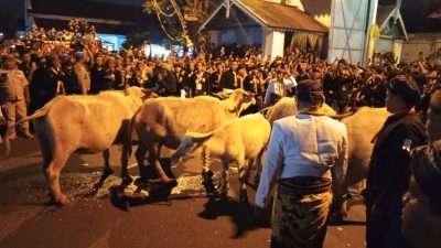 IMG_20250626_235942_758