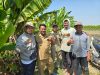 Dukung Sektor Pertanian di Kampung Halaman, H. Fathur Rahman Buat Proyek Pembangunan Integrated Modern Farming (IMF) Al Fath