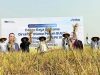 Panen Raya di Karawang, Dirut Perum Bulog Minta Sawah Produktif Tak Dikorbankan untuk Kawasan Komersial