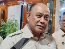 dadan